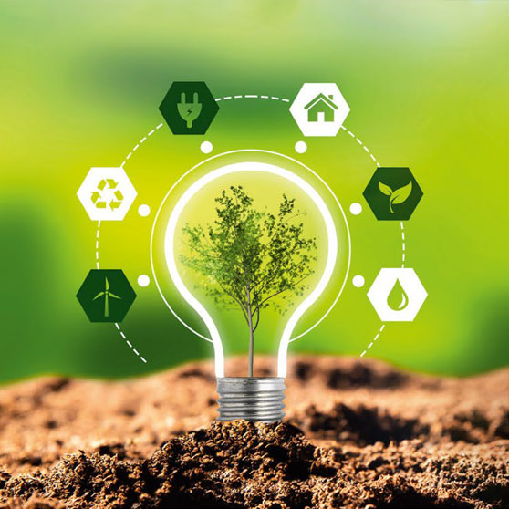 Symbolbild für Nachhaltigkeit: Eine Glühbirne mit einem Baum im Inneren steht auf Erde, umgeben von Icons für Recycling, erneuerbare Energien, Wasser und Natur vor grünem Hintergrund.